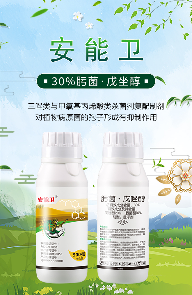 ɽ�|������(y��u)���_(d��)ֲ�ﱣ�o(h��)���޹�˾14