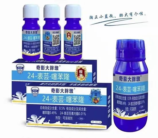 ������ֶ�