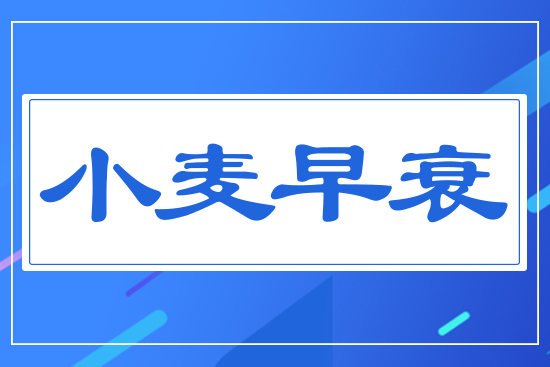 小麥早衰