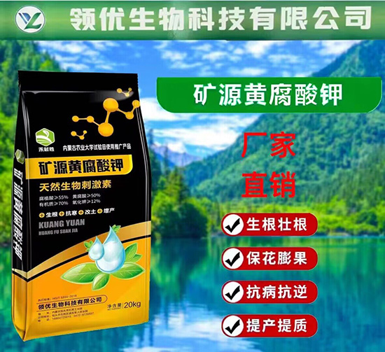 QQ�DƬ20230721172527