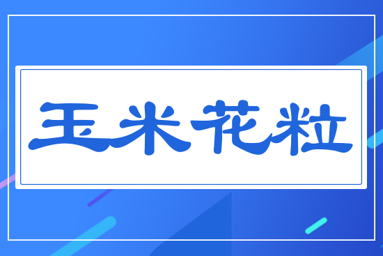 玉米花粒