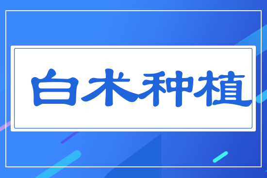 白術種植