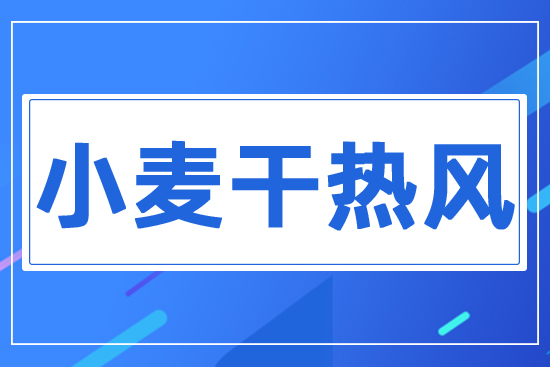 小麥干熱風