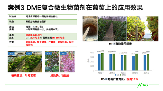 DME微生態(tài)技術(shù)在種植領(lǐng)域上的應(yīng)用_08