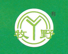 河南省中科新原化工有限公司