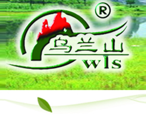 �|�����mɽ���＼�g���޹�˾