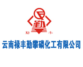 ���ϵ��S�����׻������޹�˾