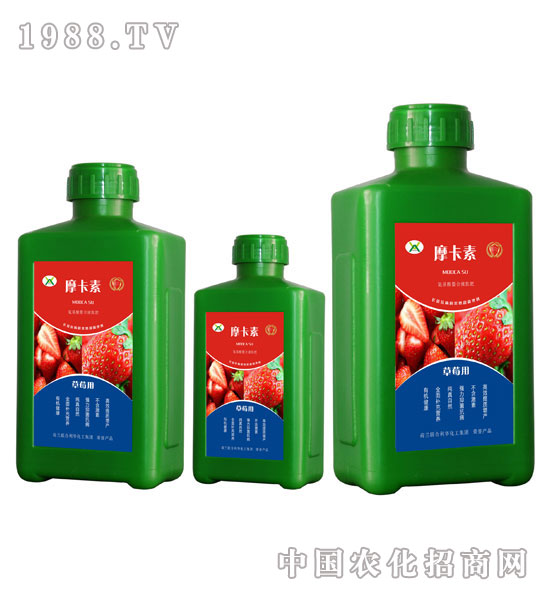 草莓專用氨基酸螯合液肽肥-摩卡素-強(qiáng)芯國(guó)際