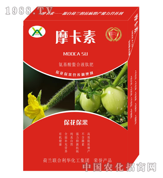 ?；ū９被狎弦弘姆?摩卡素-強(qiáng)芯國(guó)際