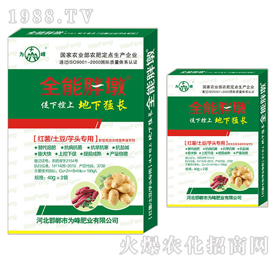 紅薯、土豆、芋頭專用-全能胖墩-為峰