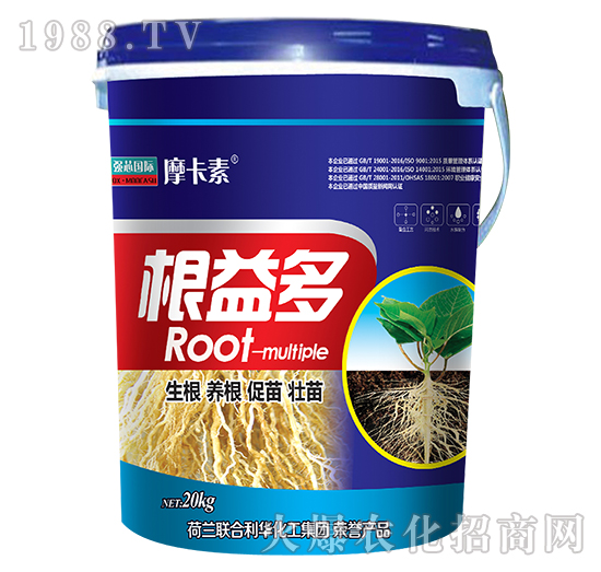 根益多-摩卡素-強(qiáng)芯國際