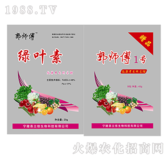 綠葉素（贈郭師傅1號）-郭師傅-立信生物