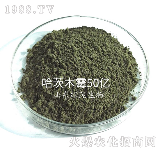 哈茨木霉（50億）-綠隴生物