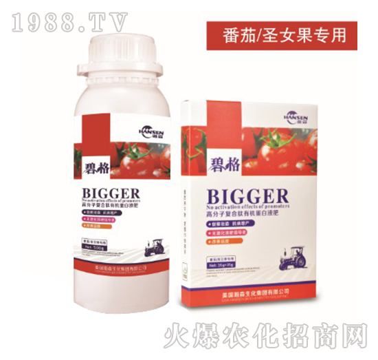 番茄圣女果專用高分子復(fù)合肽有機蛋白液肥-碧格-瀚森農(nóng)業(yè)