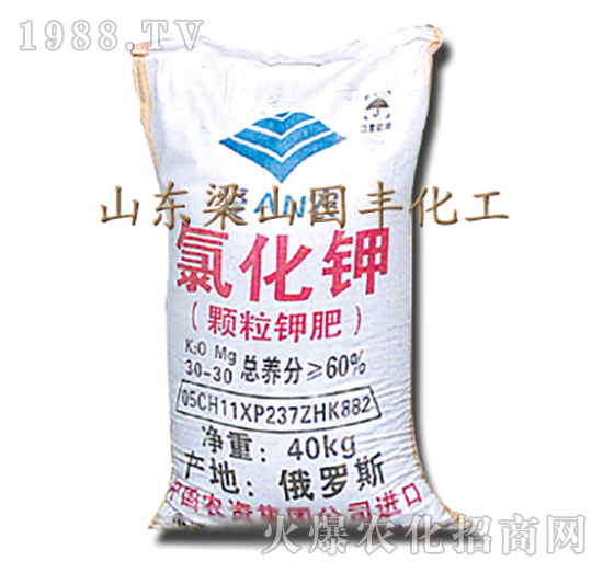氯化鉀-梁山國豐