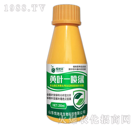 黃葉一噴綠-悅地豐