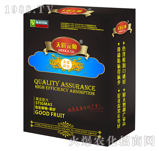 天膨元帥-強(qiáng)芯國(guó)際