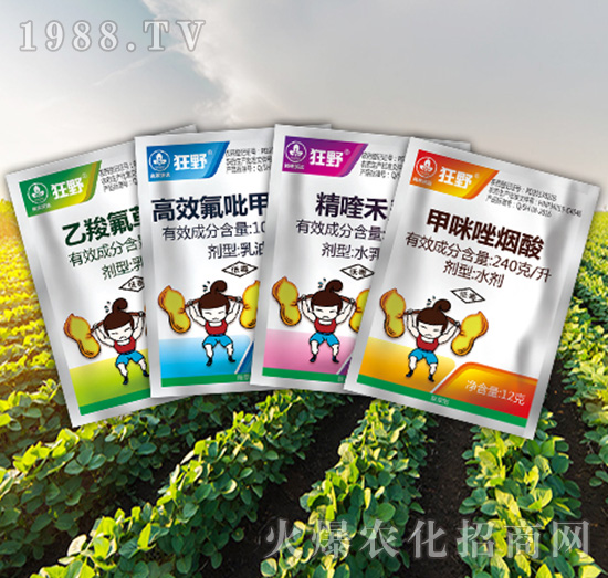 狂野組合-尚禾沃達(dá)