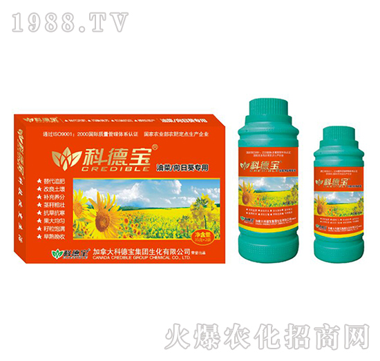 �Ͳ������տ����àI�B(y��ng)���a(ch��n)�{(di��o)�턩-�Ƶ�