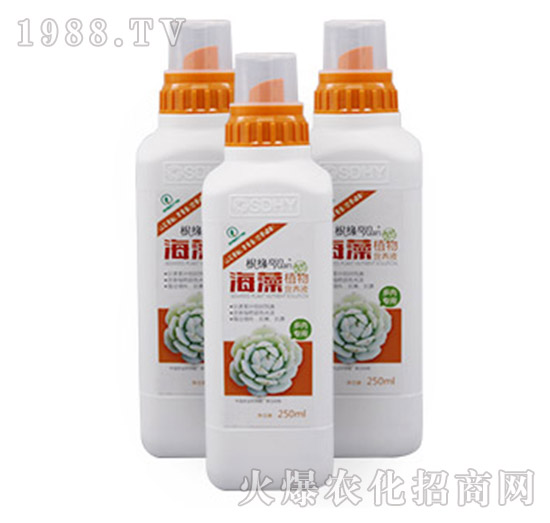 海藻植物營(yíng)養(yǎng)液-多肉專(zhuān)用型