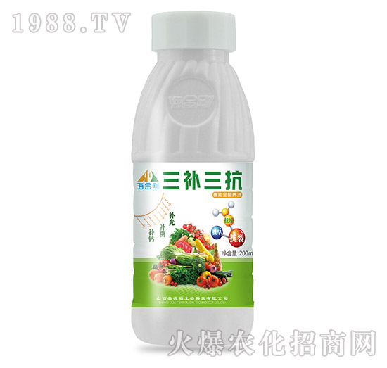 三補三抗-海金剛-奧德福