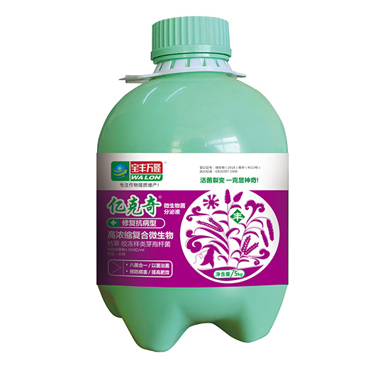 修復抗病型-億克奇-寶豐萬隆