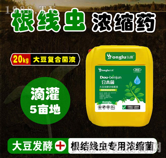 高效生物殺線蟲(chóng)菌劑-豆本菌-田小超