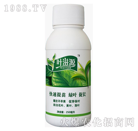 �~��Դ-�{���r��