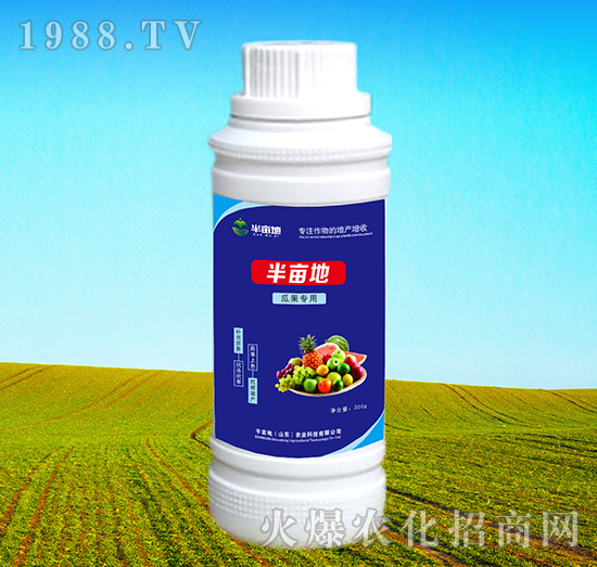 �Ϲ������~���-�뮀��