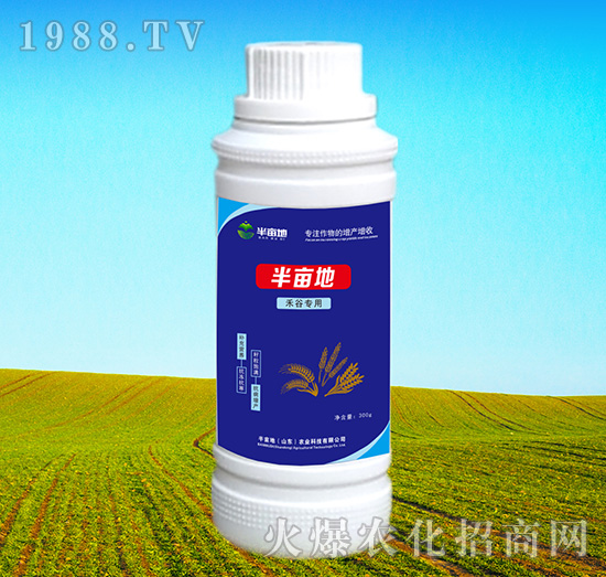 �̹Ȍ�(zhu��n)���~���-�뮀��