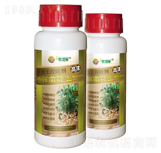 小胖墩花生專用-巨增王控旺劑-農(nóng)翁樂