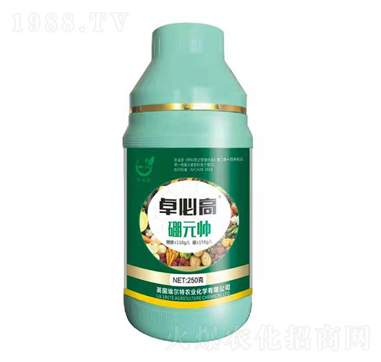 ��Ԫ��-׿�ظ�-һ������