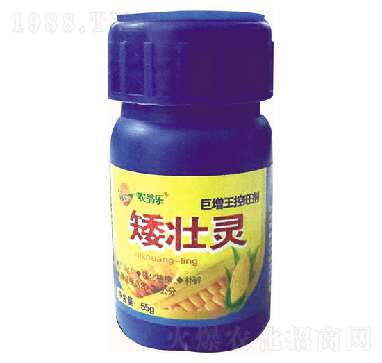 矮壯靈-農(nóng)翁樂