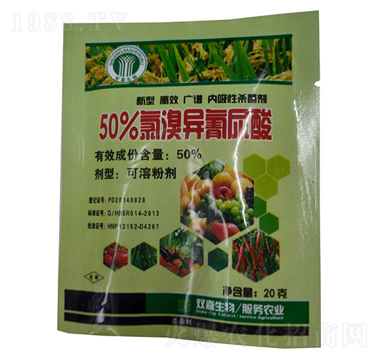 50%���宐������-�p������