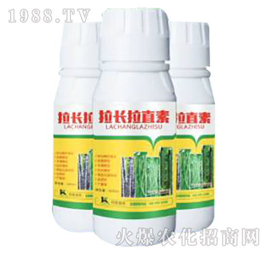 ���L��ֱ��-����ֲ��