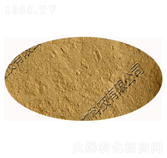 ����ѿ�ߗU��-�������