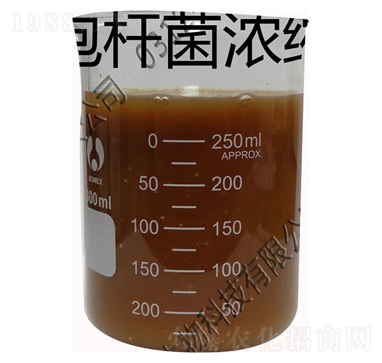 �ͺϝ�s΢�����Һ-�������