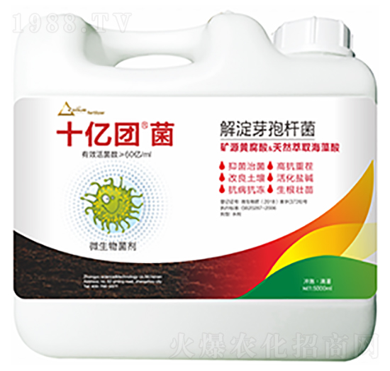 解淀芽孢桿菌-十億團(tuán)菌-中?？萍? style=