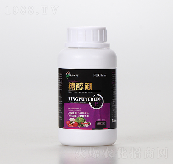 �Ǵ���-Ӣ���~��