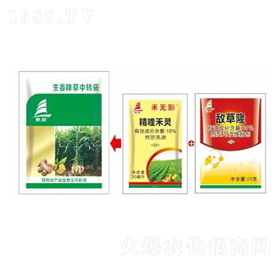 生姜田雜草解決方案-喜豐收