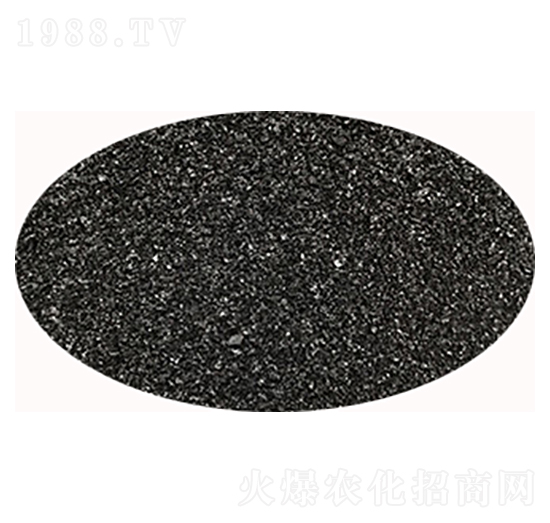 ���Ƹ�ֲ���-ʥ��һ��