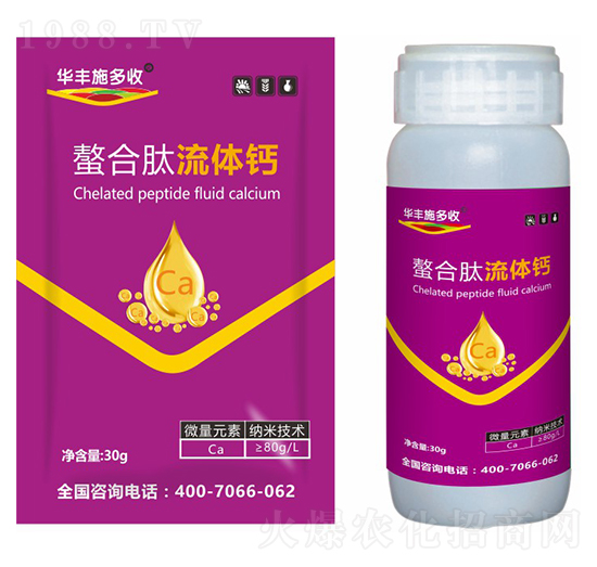 ���������w�}-�A�Sʩ���S-�滯���h