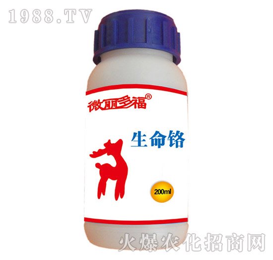 �����t-΢���ร