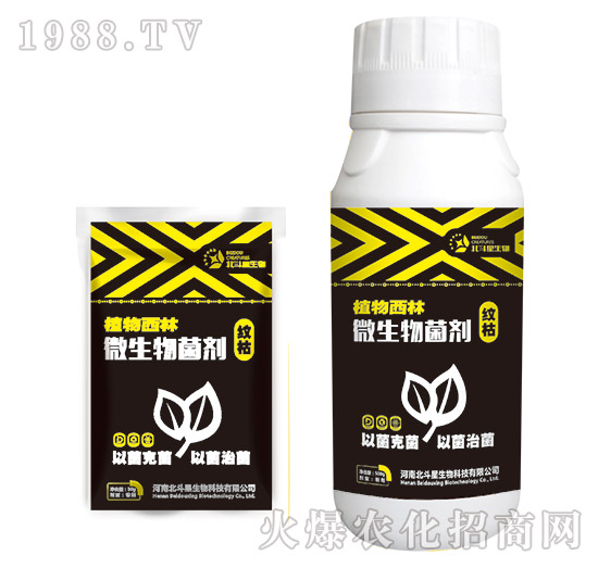 紋枯專(zhuān)用微生物菌劑-植物西林-北斗星