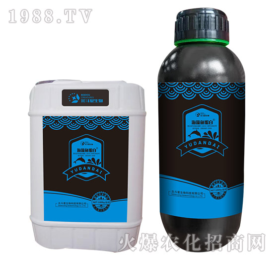 海藻魚蛋白-北斗星