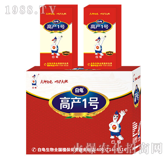 高產(chǎn)一號-白龜