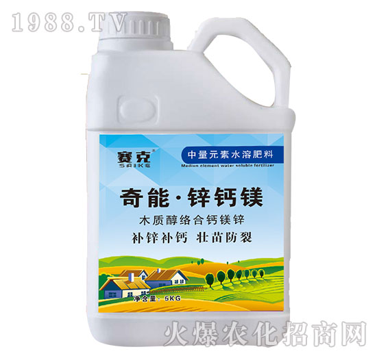 ���ܡ��\�}�V-ِ��-�_�_