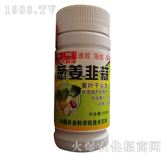 瓶裝蔥姜韭酸黃葉干尖靈-標兵-漯豐王