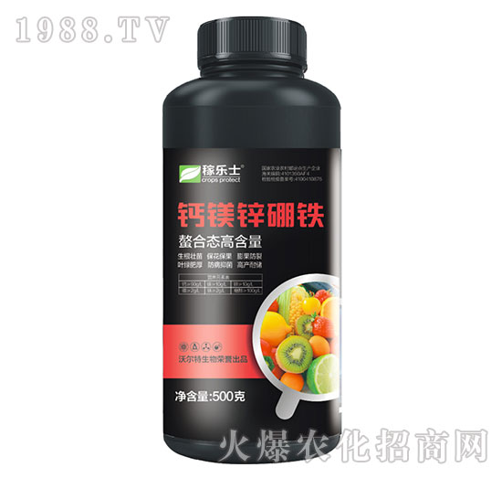 ���ϑB(t��i)�ߺ����}�V�\���F-�ژ�ʿ