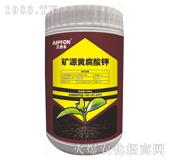 �VԴ�S�����-�����S